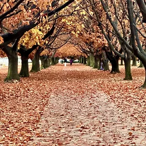 Eaglehawk Park Holiday park